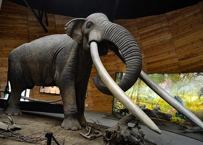 דירה Gold Infinity *