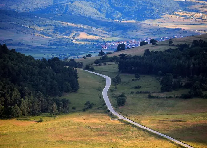 דירה Gold Infinity ולינגראד