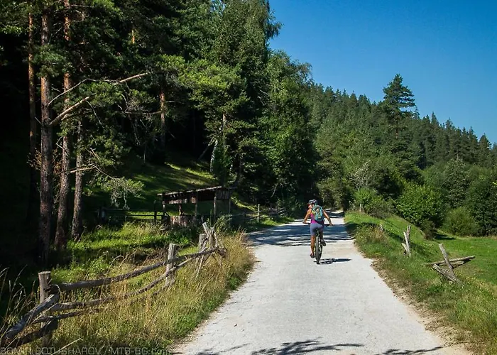 Gold Infinity * ולינגראד