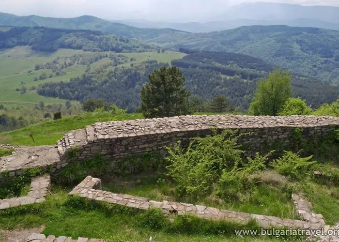 Gold Infinity ולינגראד